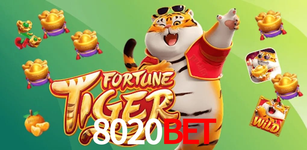 Experiência VIP 8020bet